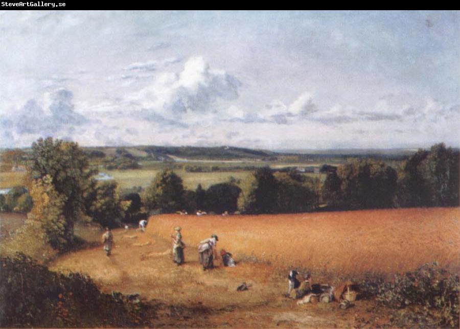 John Constable The wheatfield